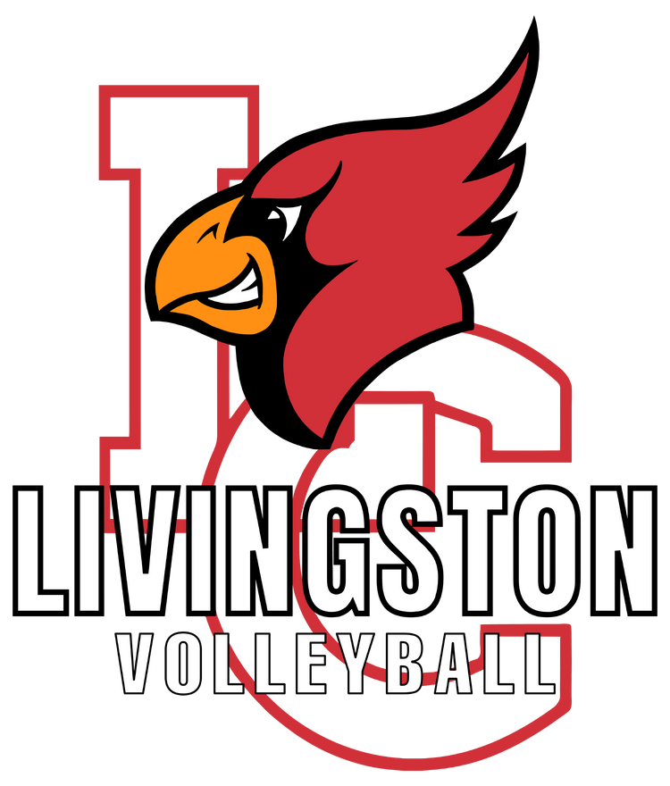Livingston County Volleyball